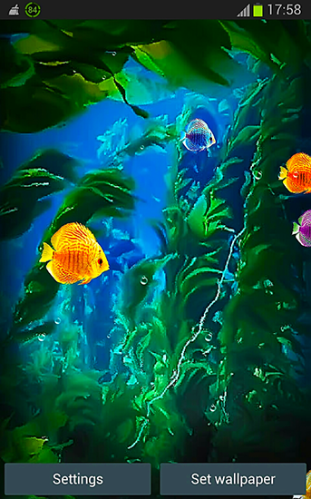 Bildschirm screenshot Aquarium 3D für Handys und Tablets.