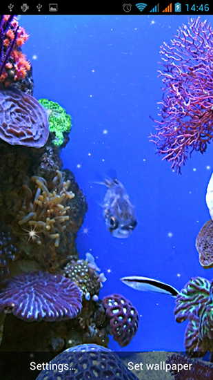 Bildschirm screenshot Aquarium für Handys und Tablets.