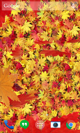 Bildschirm screenshot Herbstlaub für Handys und Tablets.