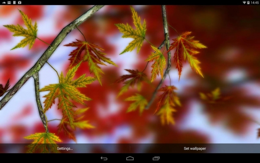 Bildschirm screenshot Herbstblätter für Handys und Tablets.