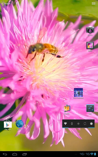 Bildschirm screenshot Biene auf Kleeblume 3D für Handys und Tablets.