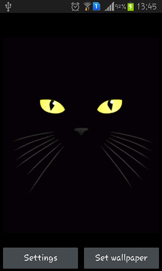 Bildschirm screenshot Schwarze Katze für Handys und Tablets.