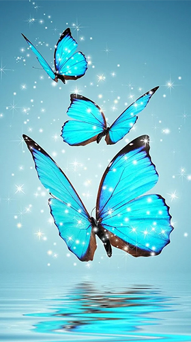 Schmetterlinge 