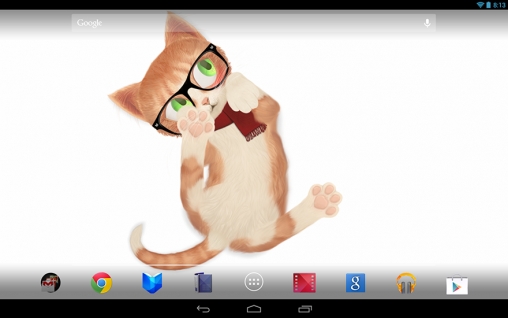 Bildschirm screenshot Katze HD für Handys und Tablets.