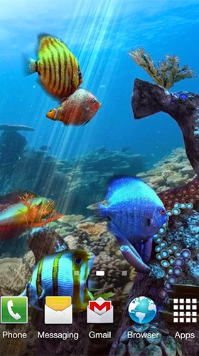 Clownfisch Aquarium 3D 