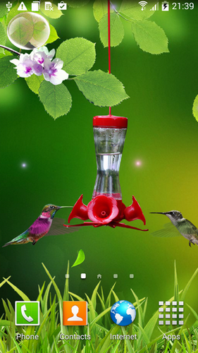 Bildschirm screenshot Kolibri für Handys und Tablets.
