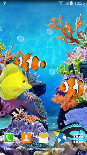 Bildschirm screenshot Korallenfische für Handys und Tablets.