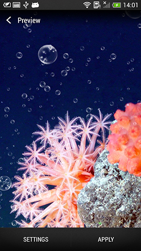 Bildschirm screenshot Korallenriff für Handys und Tablets.
