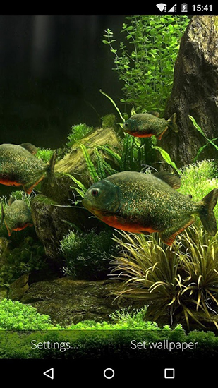 Bildschirm screenshot Fisch Aquarium 3D für Handys und Tablets.