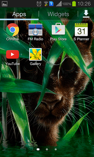 Bildschirm screenshot Waldpanther für Handys und Tablets.