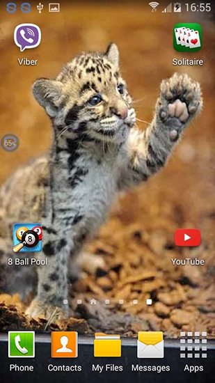 Bildschirm screenshot Leoparden: Schüttel und verändere für Handys und Tablets.