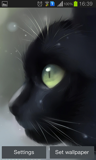 Bildschirm screenshot Einsame schwarze Katze für Handys und Tablets.