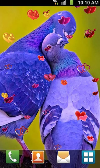 Bildschirm screenshot Liebe: Vögel für Handys und Tablets.