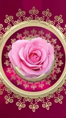 Luxuriöse Vintage Rose 