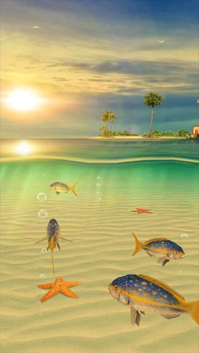 Ozean Aquarium 3D: Insel der Schildkröten 
