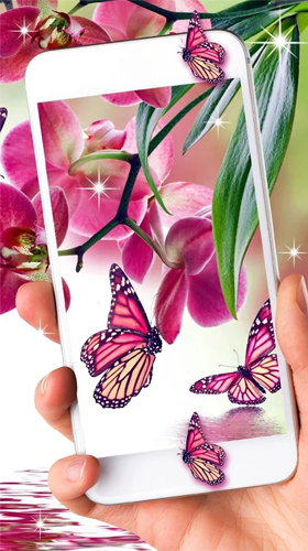 Pinker Schmetterling 
