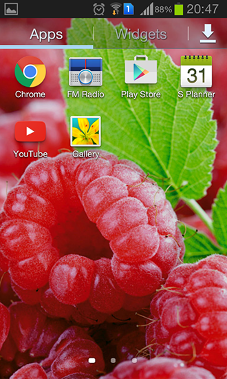Bildschirm screenshot Himbeeren für Handys und Tablets.