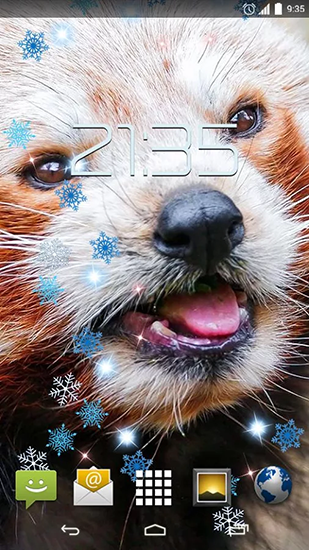 Bildschirm screenshot Roter Panda für Handys und Tablets.