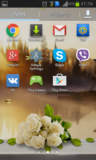Bildschirm screenshot Rose: Sommermorgen für Handys und Tablets.