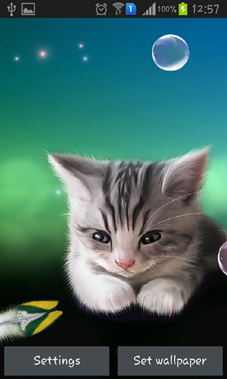 Bildschirm screenshot Müdes Kätzchen für Handys und Tablets.