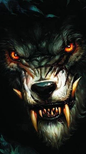 Stacheliger Blutiger Königswolf 