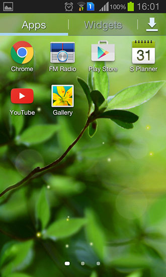 Bildschirm screenshot Frühlingsknospen für Handys und Tablets.