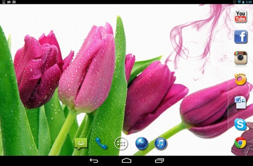 Bildschirm screenshot Frühlingsregen für Handys und Tablets.