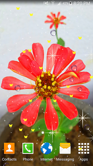 Bildschirm screenshot Sommerblumen für Handys und Tablets.