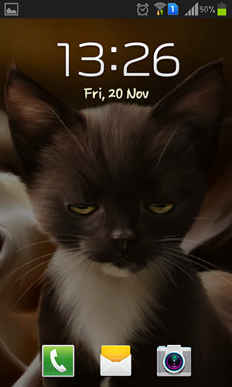 Bildschirm screenshot Überraschtes Kätzchen für Handys und Tablets.