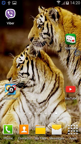 Bildschirm screenshot Tiger: Schüttel und verändere für Handys und Tablets.
