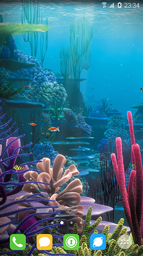 Unterwasserwelt 