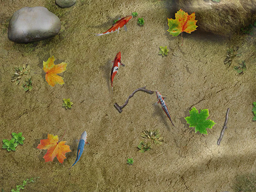 Bildschirm screenshot Fischteich mit Koi für Handys und Tablets.