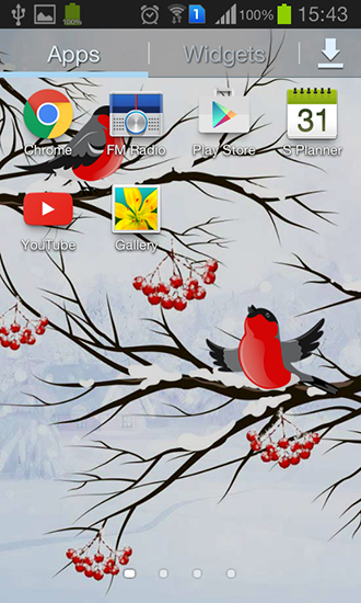 Bildschirm screenshot Winter: Bullfinch für Handys und Tablets.