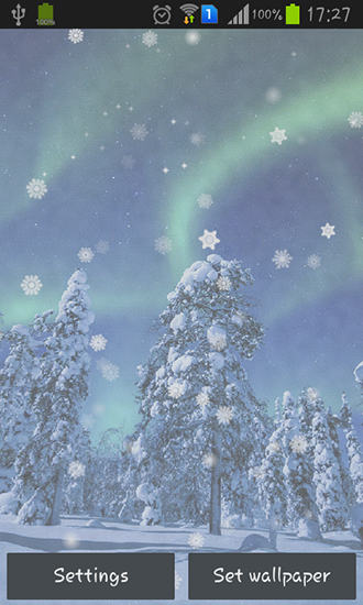 Aurora: Winter