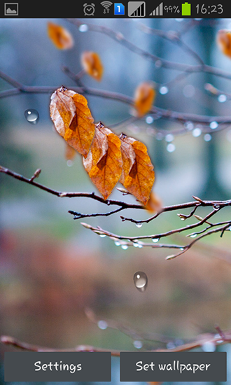 Herbstliche Regentropfen