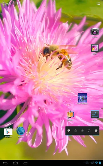 Biene auf Kleeblume 3D