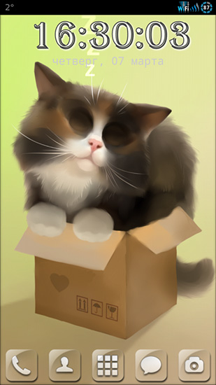 Katze in der Schachtel