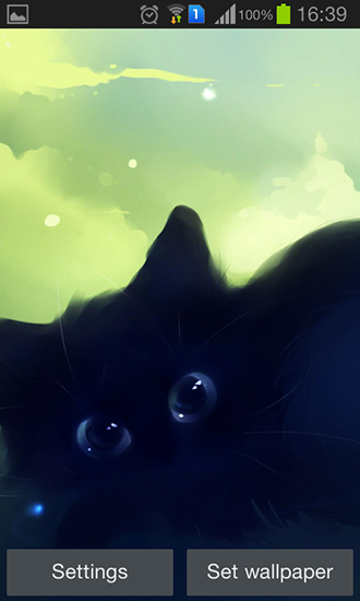Einsame schwarze Katze