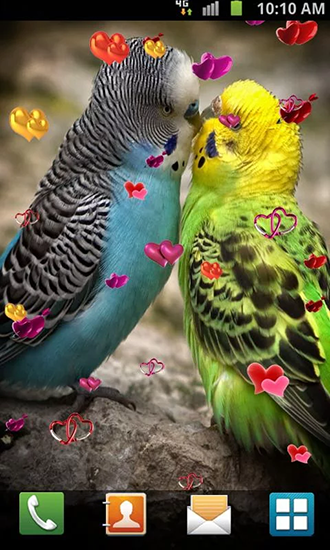 Liebe: Vögel