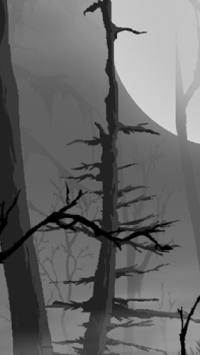 Mystischer Wald 
