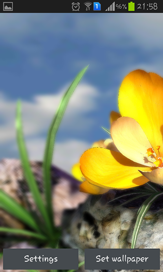 Lebende Natur: Frühlingsblumen 3D