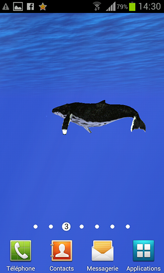 Ozean: Wal