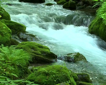 Fließender Fluss