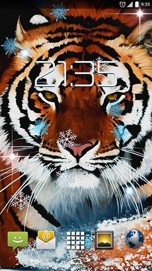 Schnee Tiger