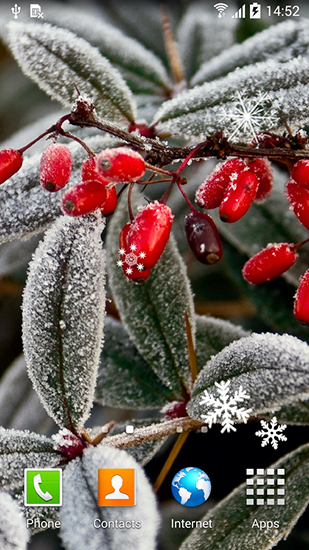 Featured image of post Hintergrundbilder Winterblumen Hintergrundbilder ist die sch nste app die mehr als 1 000 000 hd hintergrundbilder f r ihr dies ist die beste app wenn sie webseite durchsehen und hintergrundbilder bekommen m ch so