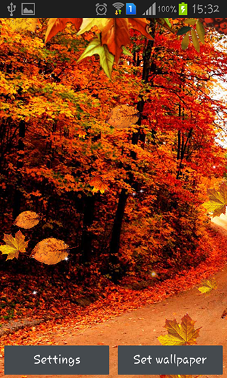Herbststraßen