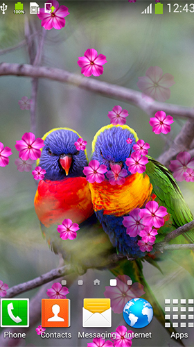 Verliebte Vögel 