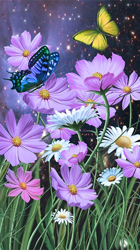 Sommer: Blumen und Schmetterlinge 