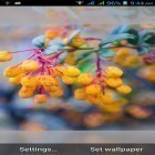 Neben Live Wallpapern für Android Paris bei Regen kannst du die apk des Hintergrunds 1031 Blumen  gratis herunterladen.