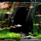 Neben Live Wallpapern für Android Magischer Wasserfall kannst du die apk des Hintergrunds Aquarium  gratis herunterladen.
